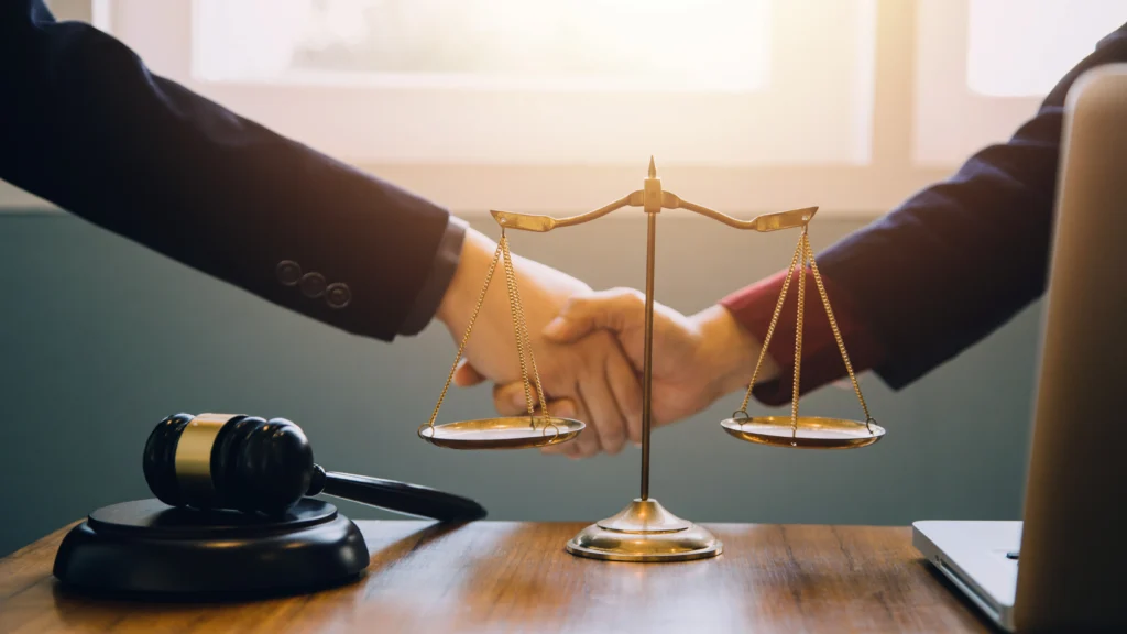Professional lawyer consulting client in Sydney law firm office